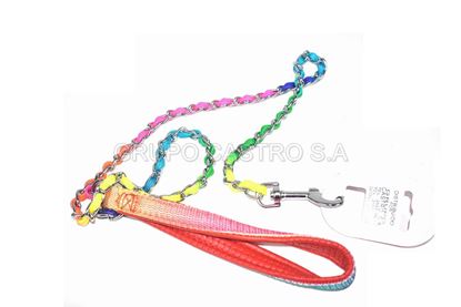 Foto de CORREA P/PERRO METALICA C/CORDON COLORES NEON (1.1MTR) GS16083
