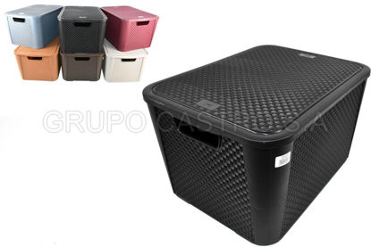 Foto de Caja ratan rectang CON TAPA 40 ltrs (12) 0855 36anc,47larg,28alt cms Spartaplast