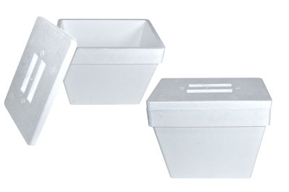 Foto de Hielera Rectang 20 Ltrs Polar 40X29 cms Polisa Estereofon (5)