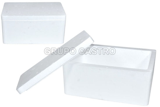 Foto de Hielera Rectang Caja  4.2 Ltrs 6 Lbrs 31X20 cms Polisa Estereofon