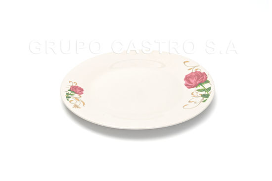 Foto de Plato porcelana plano decorado 9" GET21-04 (48)