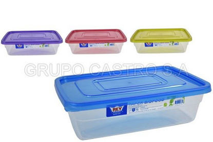 Foto de Recipiente BioFood Rectang 2.9 Lltrs c/t 8alt,28.8Larg,19.7anc cms TPX068000 (120)