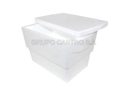 Foto de SEGUNDA Hielera rectangular 22 litros 44.5X29.5cms Estereofon(10)