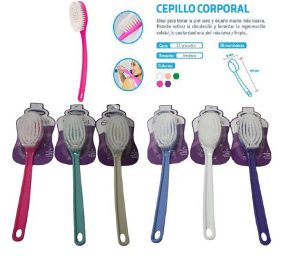 Foto de CEPILLO CORPORAL CEPC01 40X8CMS PROLIMSO (12)
