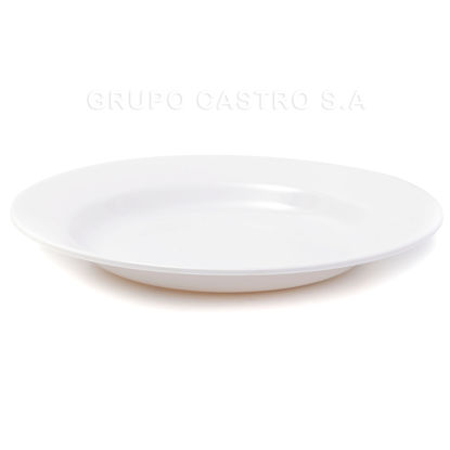 Foto de Plato Hondo Melamina Blanco 10"/25cms 2235-10 GET29-15 (120)