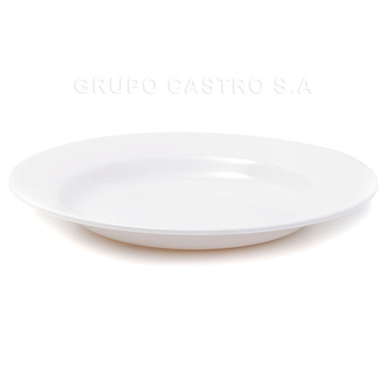 Foto de Plato Hondo Melamina Blanco 10"/25cms 2235-10 GET29-15 (120)