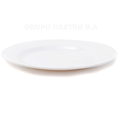 Foto de Plato Plano Melamina Blanco 10"/25cms 22358-10 GET29-16 (120)