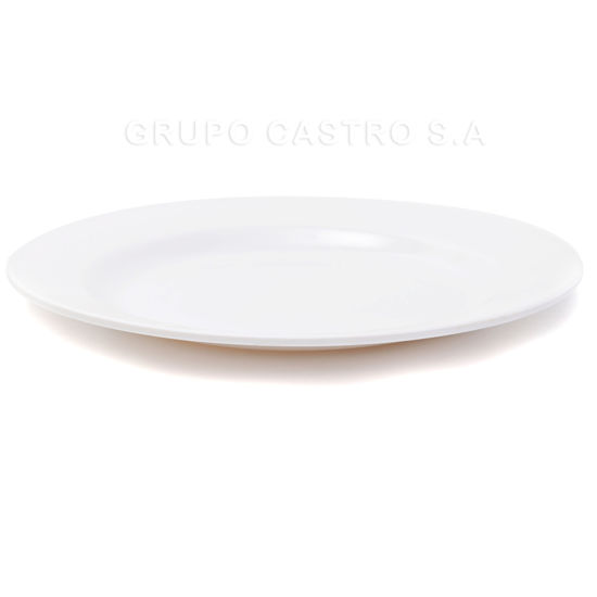 Foto de Plato Plano Melamina Blanco 10"/25cms 22358-10 GET29-16 (120)