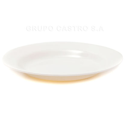 Foto de Plato Hondo Blanco Melamina 9'' /22.7cms 2105-9 GET29-19 (120)