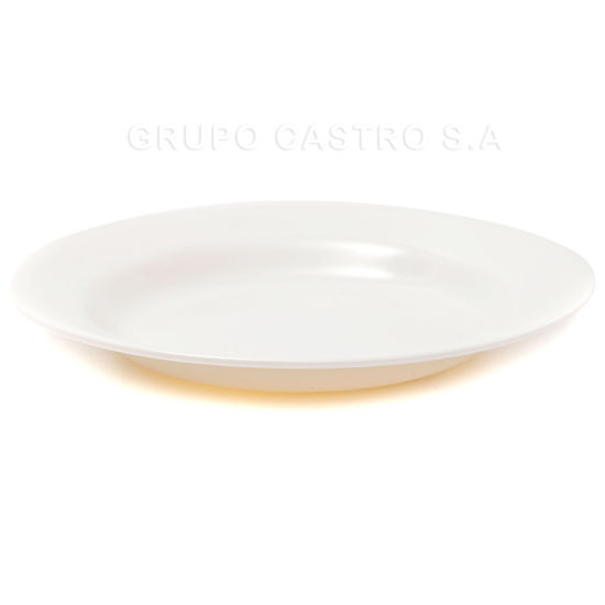 Foto de Plato Hondo Blanco Melamina 9'' /22.7cms 2105-9 GET29-19 (120)