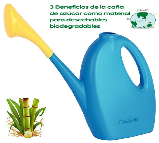 Foto de Regadera Plastica 78600/022 2 ltrs Tramontina