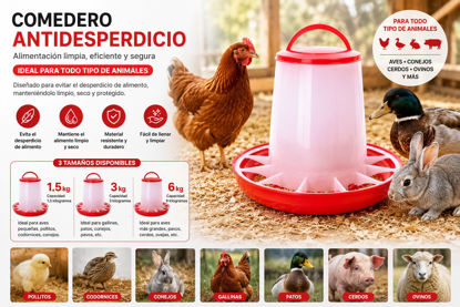 Foto de Comedero antidesperdicio